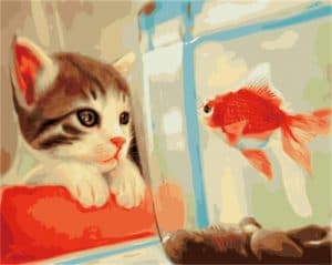 A Cat And A Red Fish Paint By Number