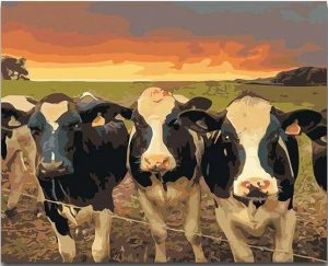 A Herd Of Cows Animals Paint By Number