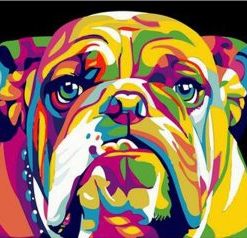 Abstract Bulldog Animals Paint By Numbers