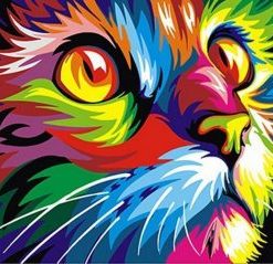 Abstract Cat Animals Paint By Numbers