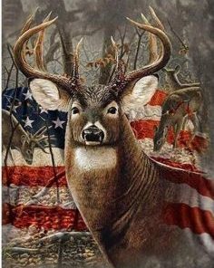 American Deer Paint By Number