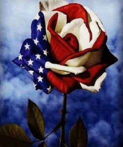 American Flag Rose Paint By Number