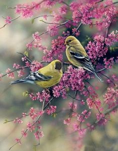 American Goldfinch Paint By Number