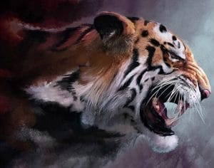 Angry Tiger Paint By Number