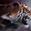 Angry Tiger Paint By Number