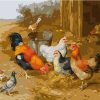 Chickens And Pigeons Paint By Number