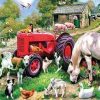 Animals In Farm Paint By Number
