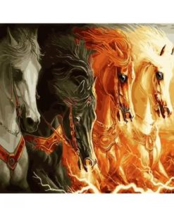 Arabian Horses Paint By Number