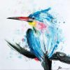 Arctic Tern Bird Paint By Number
