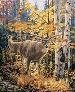 Autumn Forest Deers Paint By Number