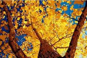 Autumn Ginkgo Paint By Number