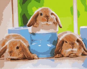 Baby Rabbits Paint By Number