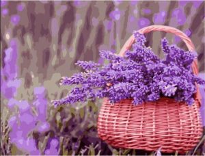 Basket Of Purple Flowers Paint By Number