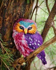 Beautiful Owl Paint By Number
