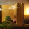 Big Book In Forest Paint By Number