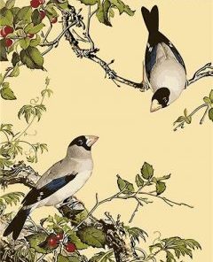 Birds On A Branch Paint By Number