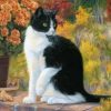 Black And White Cat Paint By Number