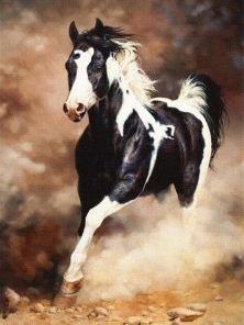 Black And White Horse Paint By Number