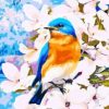Blue Birds Flower Paint By Number