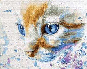 Blue Eyes Cat Paint By Number