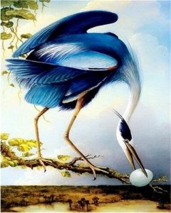 Blue Heron Paint By Number