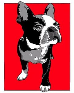 Boston Terrier Paint By Number