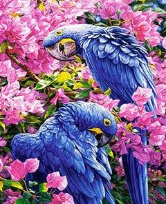 Bougainvillea Parrots Paint By Number