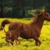 Brown Horse And Foal Paint By Number