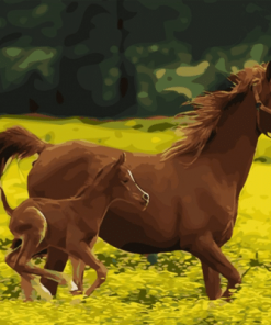 Brown Horse And Foal Paint By Number