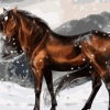 Brown Horse Paint By Number