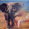 Bull Elephant Paint By Number
