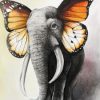 Butterfly Elephant Paint By Number