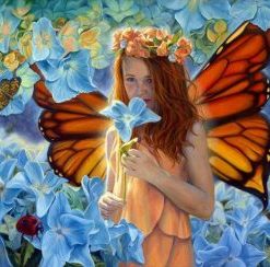 Butterfly Fairy Paint By Number