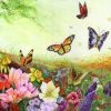 Butterfly Garden Paint By Number