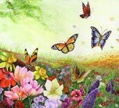 Butterfly Garden Paint By Number