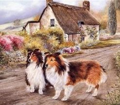 Cabin Dogs Paint By Number