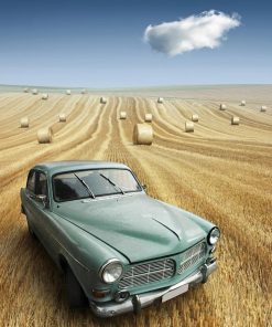 Car In Field Paint By Number