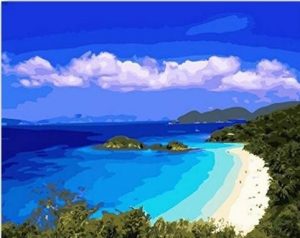 Caribbean Beach Paint By Number