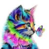 Cat And Butterfly Paint By Number