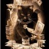 Cat And Money Paint By Number