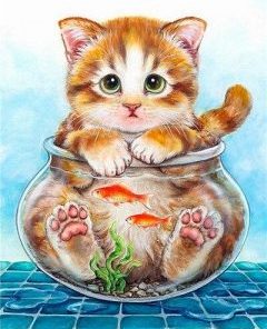 Cat In Fish Bowl Paint By Number