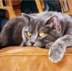 Cat On The Couch Paint By Number