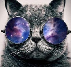 Cat With Galaxy Glasses Paint By Number