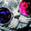 Cat With Space Sunglasses Paint By Number