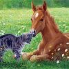 Cat And Horse In Meadow Paint By Number