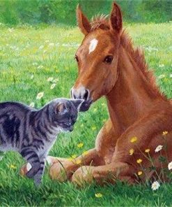 Cat And Horse In Meadow Paint By Number