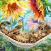 Cats In Hammock Paint By Number