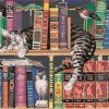 Cats On Bookshelves Paint By Number