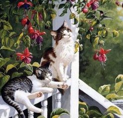 Cats Resting Paint By Number