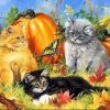 Cats With A Pumpkin Paint By Number